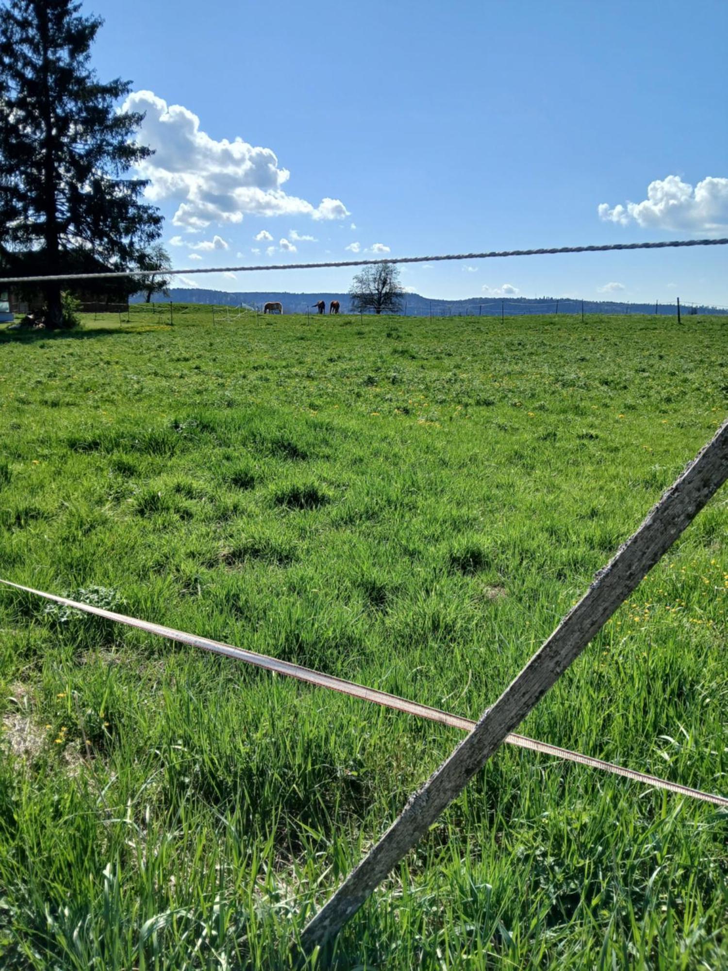 Landgasthof Zum Seehof Rottweil Exterior foto