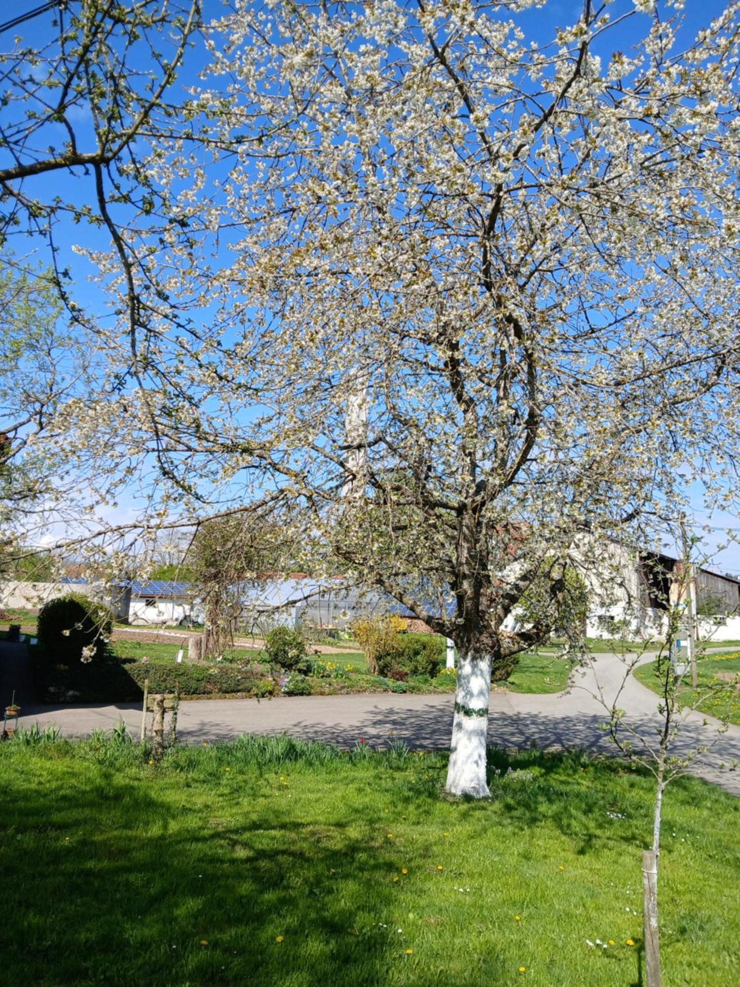 Landgasthof Zum Seehof Rottweil Exterior foto