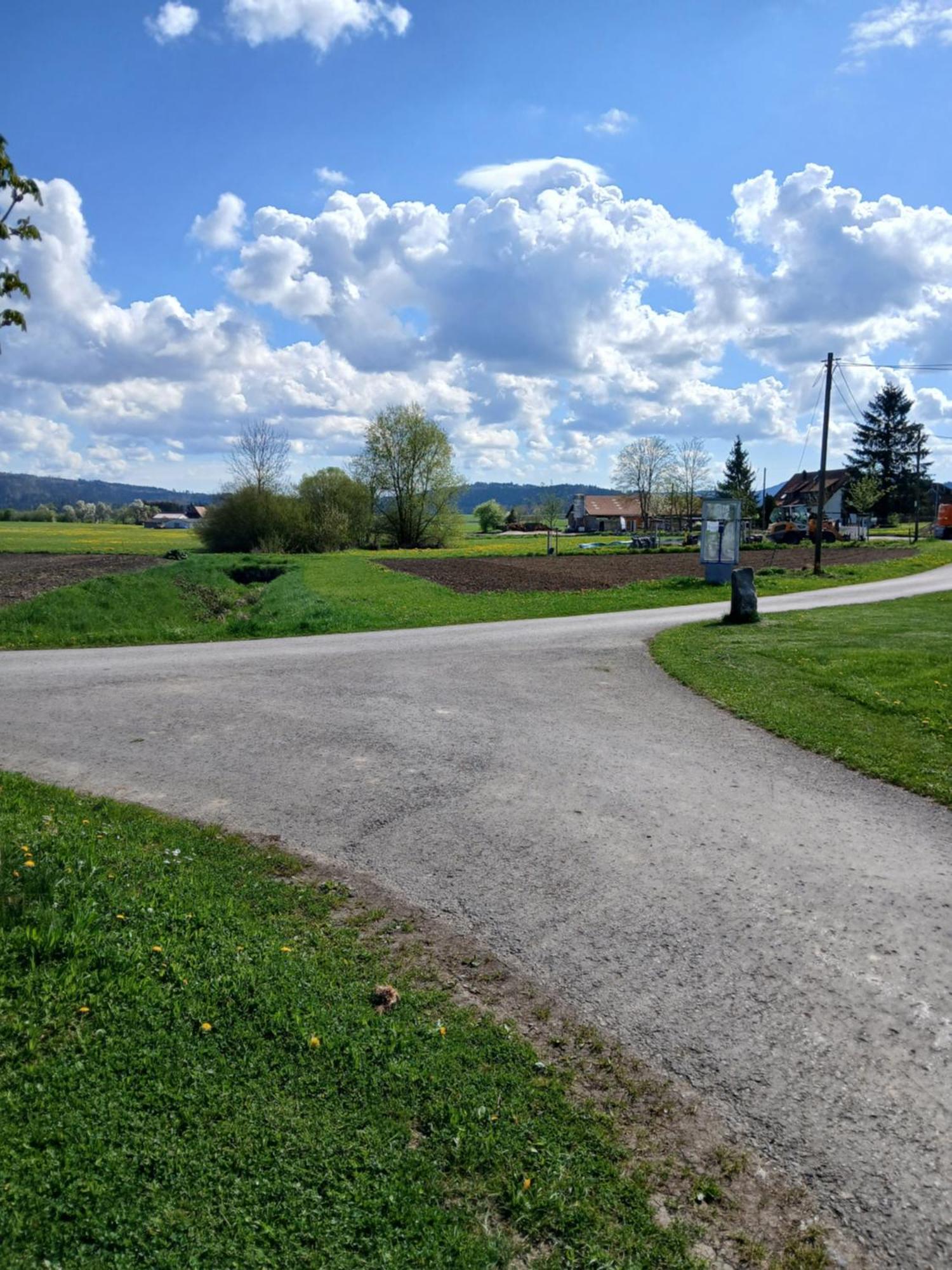 Landgasthof Zum Seehof Rottweil Exterior foto
